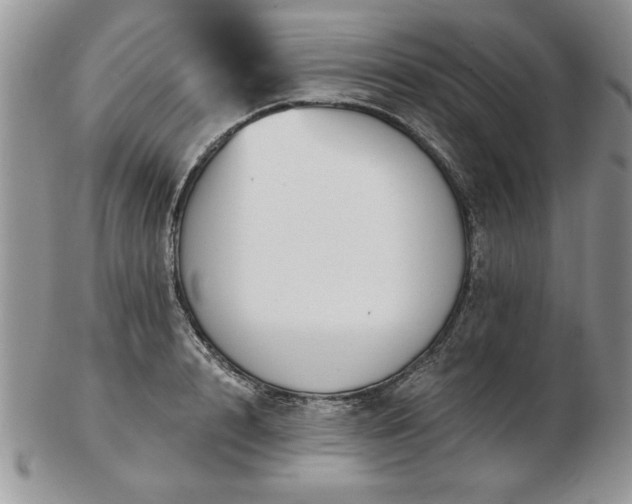 X0000102820848200808251109