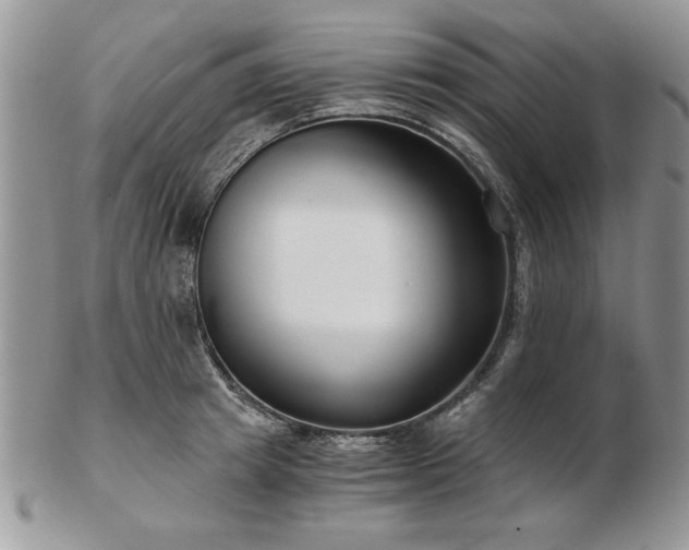 X0000102820849200808251109