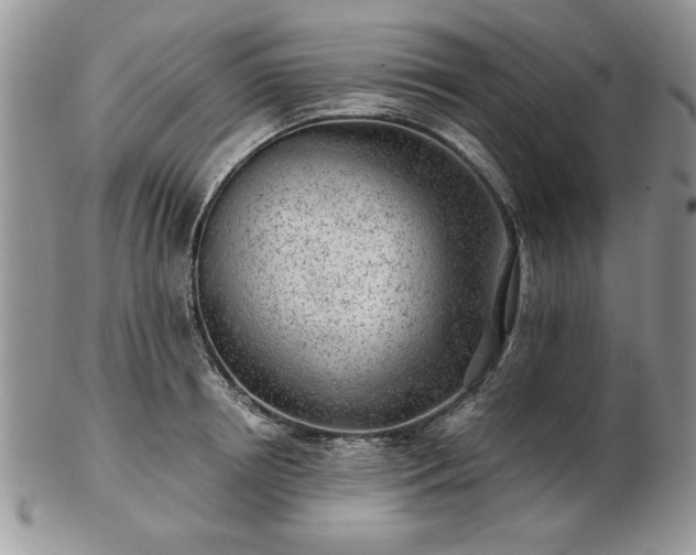 X0000102820850200808251109