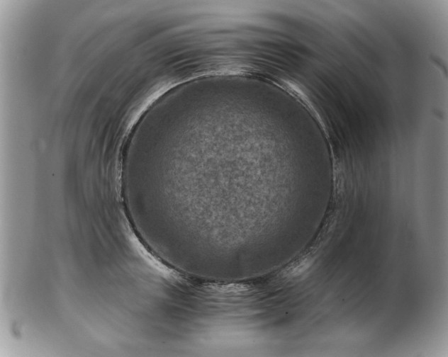 X0000102820851200808251109
