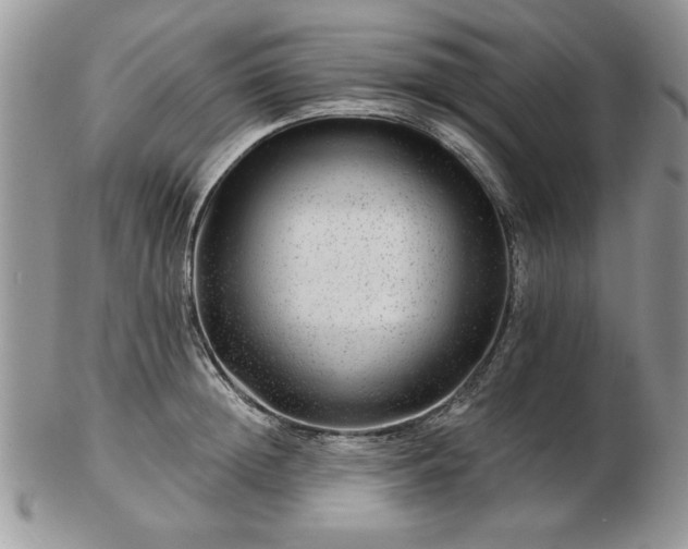 X0000102820852200808251109