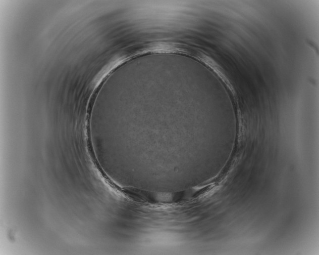 X0000102820853200808251109