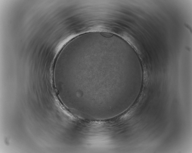 X0000102820854200808251109