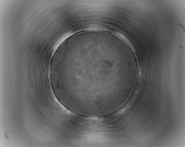 X0000102820855200808251109