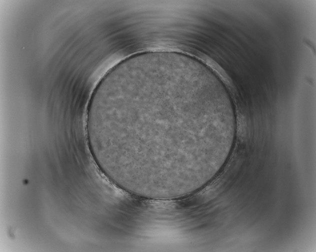 X0000102820856200808251109