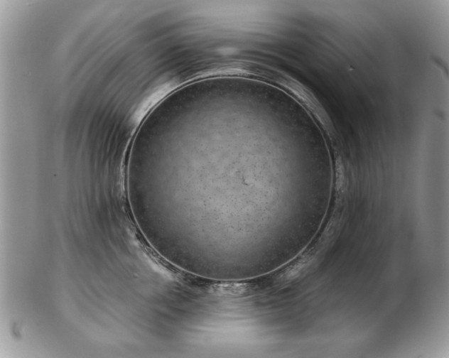 X0000102820858200808251109