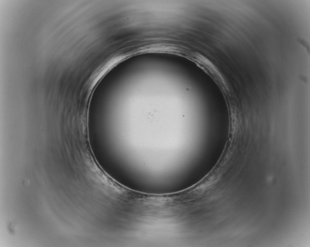 X0000102820860200808251109