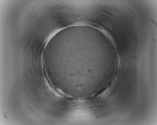 X0000102820862200808251109