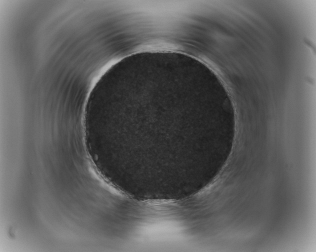 X0000102820864200808251109