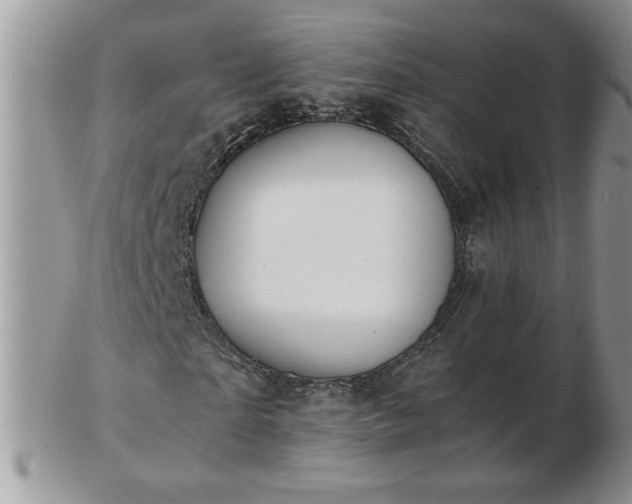 X0000102820865200808251108