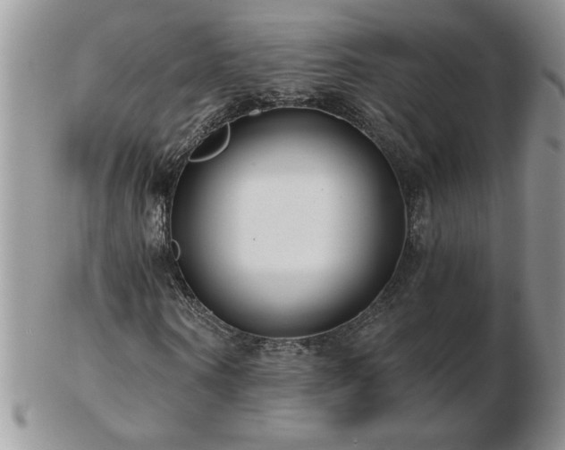 X0000102820866200808251108