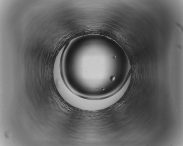 X0000102820868200808251108