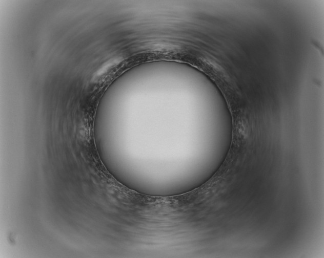 X0000102820869200808251108