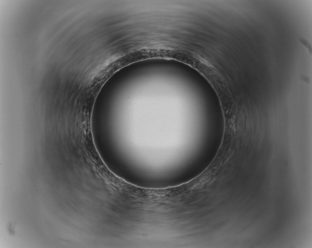 X0000102820870200808251108