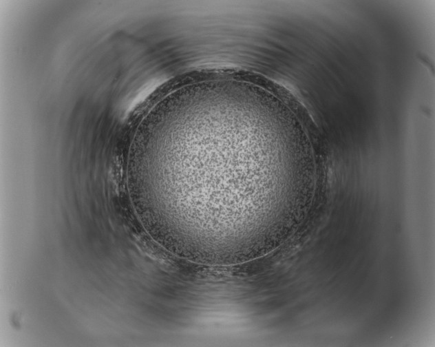 X0000102820871200808251108