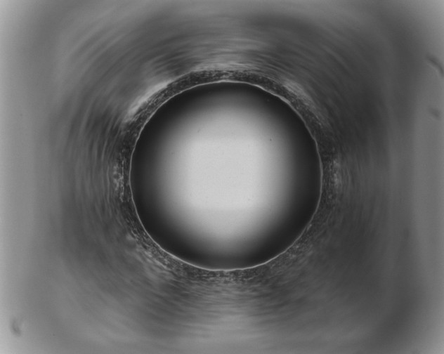 X0000102820872200808251108