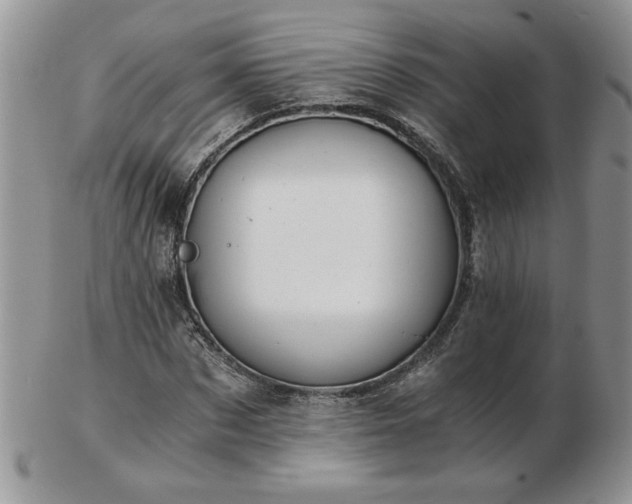 X0000102820873200808251108