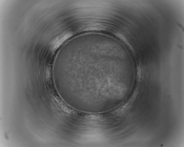 X0000102820874200808251108