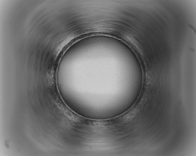 X0000102820875200808251108