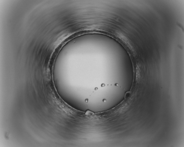X0000102820876200808251108