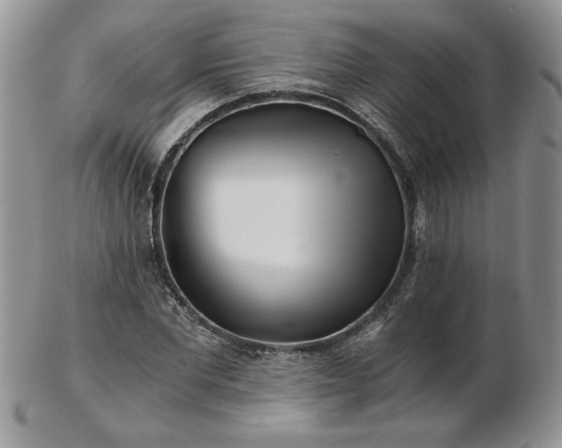X0000102820877200808251108