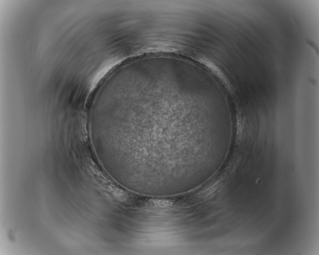 X0000102820878200808251108