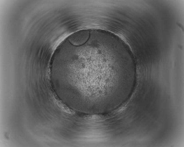 X0000102820879200808251108