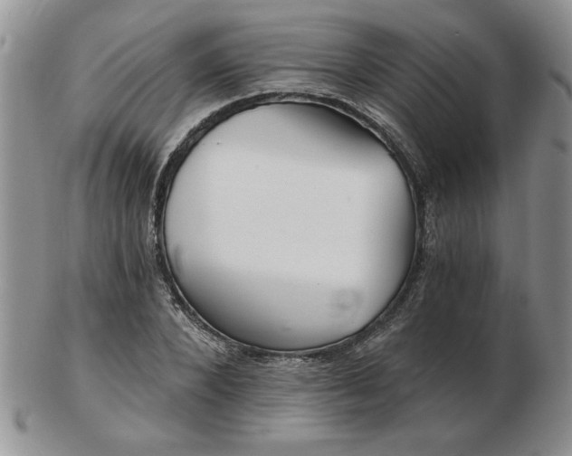 X0000102820880200808251108