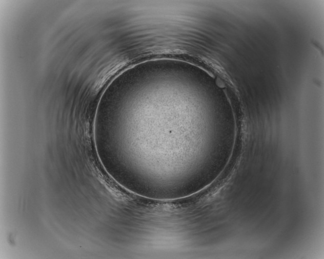 X0000102820881200808251108