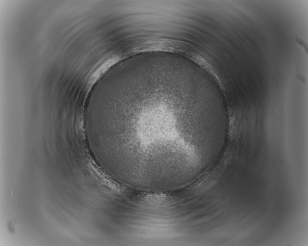 X0000102820882200808251108
