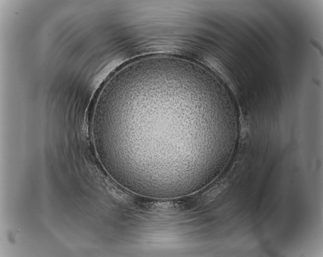 X0000102820883200808251108