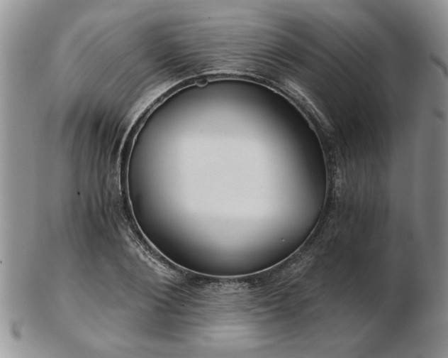X0000102820884200808251108
