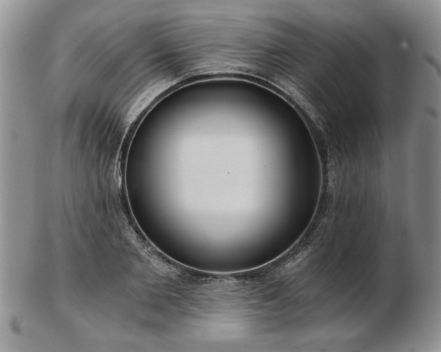 X0000102820885200808251108