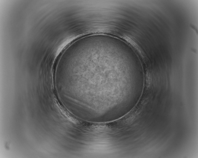 X0000102820886200808251108