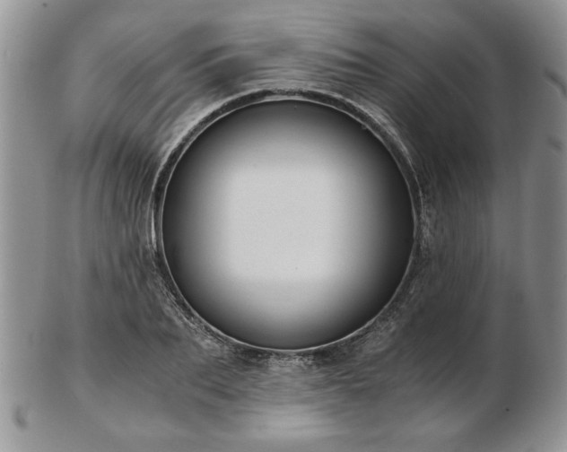 X0000102820887200808251108
