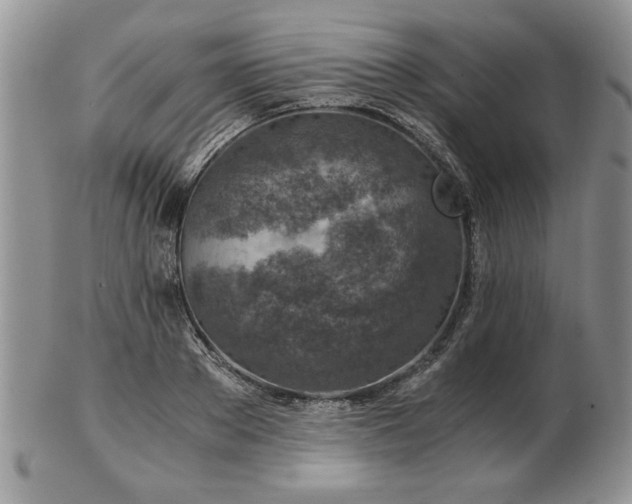 X0000102820889200808251108