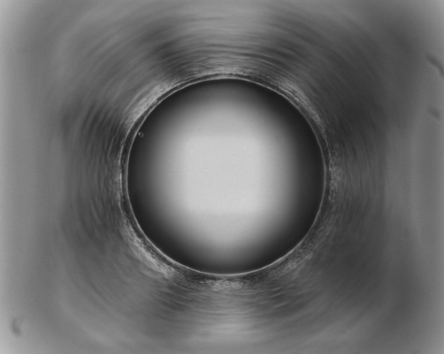 X0000102820890200808251108