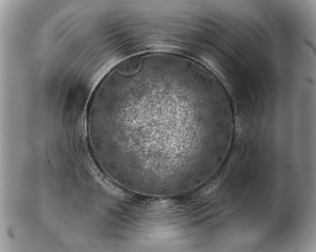 X0000102820891200808251108