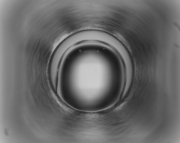 X0000102820893200808251108