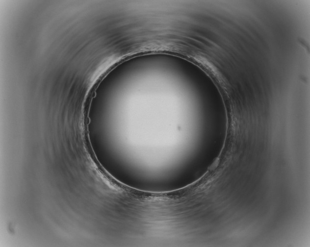 X0000102820894200808251108
