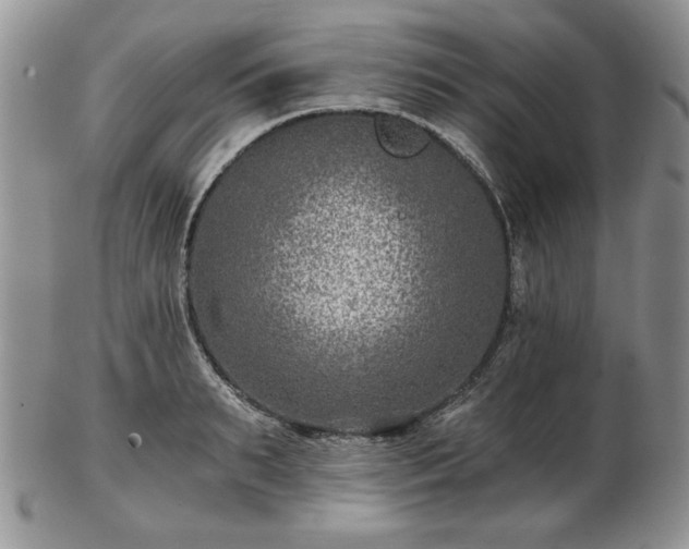 X0000102820895200808251108