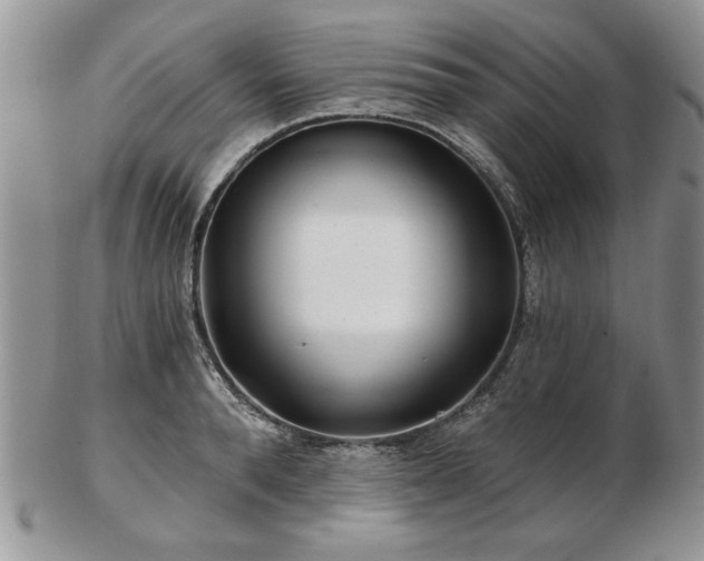X0000102820896200808251108