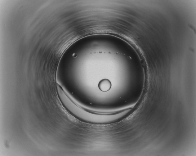 X0000102820897200808251108