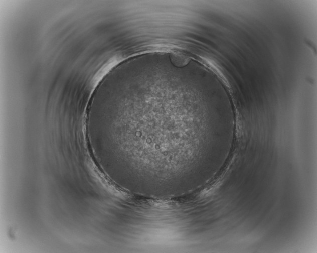 X0000102820899200808251108