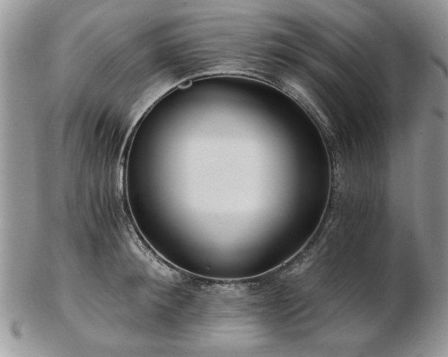 X0000102820900200808251108
