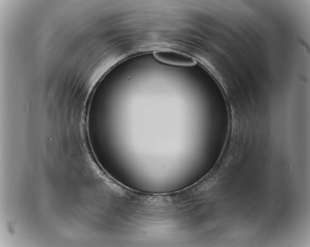 X0000102820901200808251108