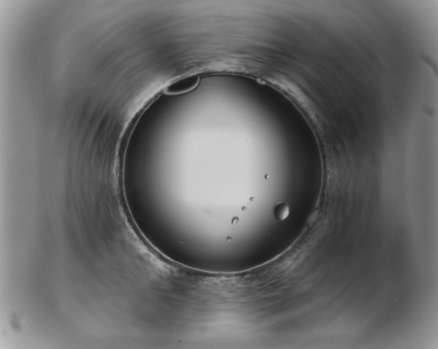X0000102820902200808251108
