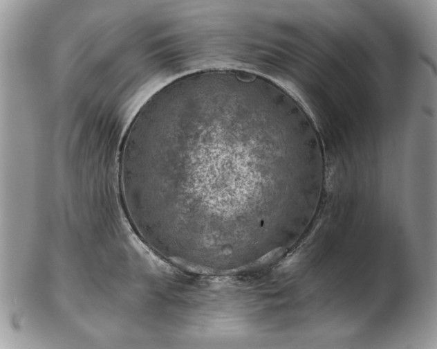 X0000102820903200808251108