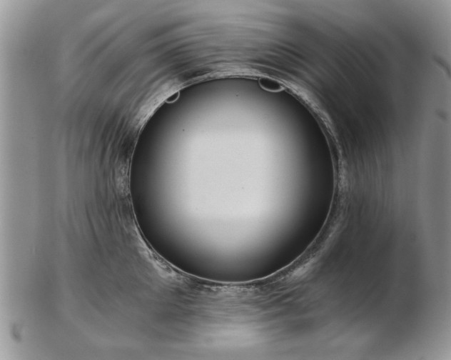 X0000102820905200808251108