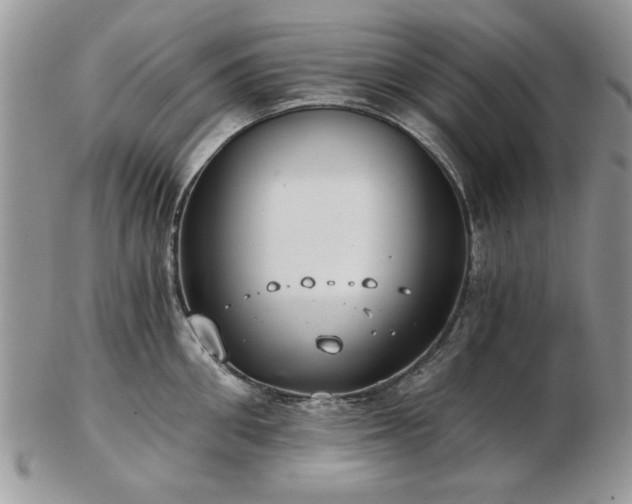 X0000102820906200808251108